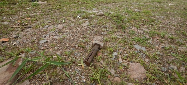 A Dise de Votuporanga prendeu um procurado da Justiça, que matou a pauladas dois homens em Caraguatatuba em outubro deste ano (Foto: Divulgação)