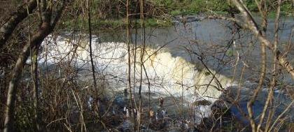 Grupo vai a pé de Pontes Gestal até Cachoeira