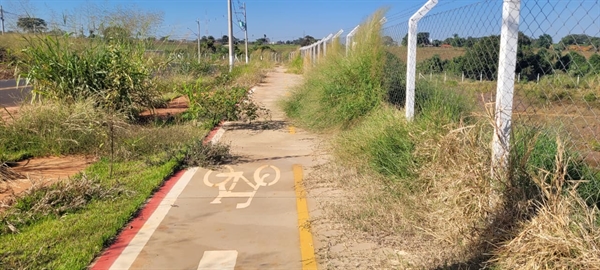 O Parque Esplanada tem calçadas e ciclovias cobertas por mato, além da falta de uma linha de ônibus. Foto: A Cidade