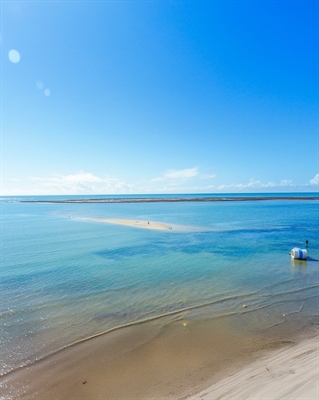 Foto: Instagram/@beachclubparadiso