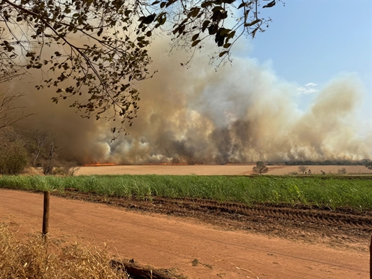 Votuporanga voltou a registrar novos focos de incêndio nesta sexta-feira (23) (Foto: A Cidade)