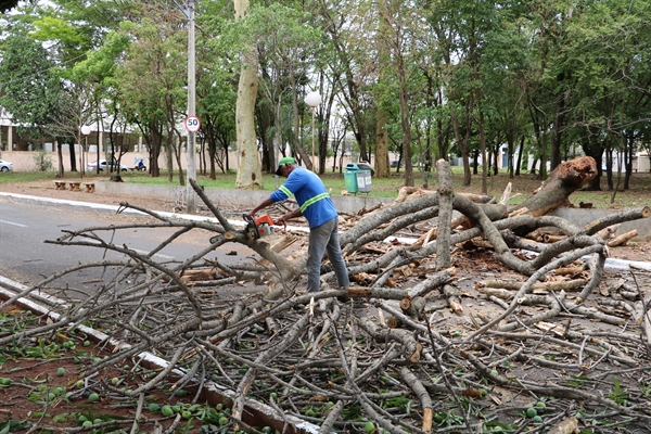 Equipes da Saev e Prefeitura fizeram uma força-tarefa para retirar as árvores caídas na cidade (Foto: Prefeitura de Votuporanga)