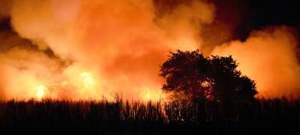 Incêndio às margens da rodovia assusta motoristas