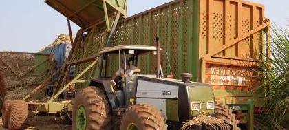 Procura-se mão-de-obra qualificada