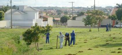 Saev Ambiental planta 500 mudas nativas em APP