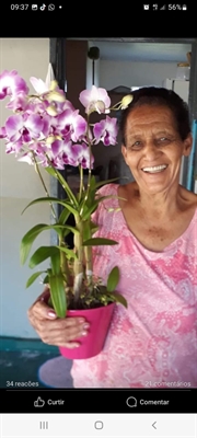 Alci Simeão de Moraes, 80 anos (Foto: Arquivo pessoal) 