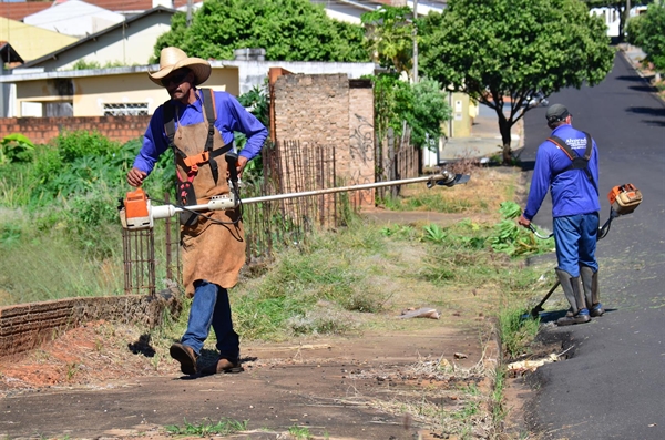 O trabalho ocorre três vezes ao ano, entre março e abril (Foto: Divulgação/Prefeitura de Votuporanga)