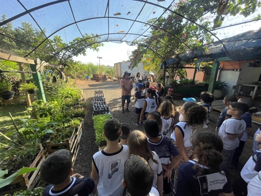 Alunos do CEM "Prof. Faustino Pedroso" visitaram uma horta e conheceram na prática o cultivo de frutas e hortaliças (Foto: Prefeitura de Votuporanga)