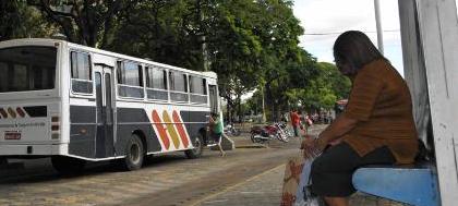 Câmara vota Transporte Cidadão em extraordinária