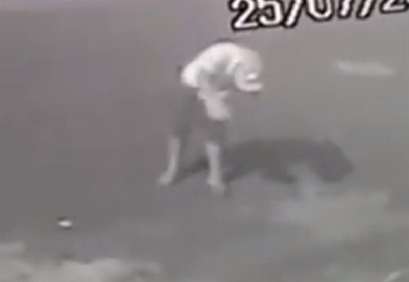 Imagens mostram jovem tentando enforcar filhote 