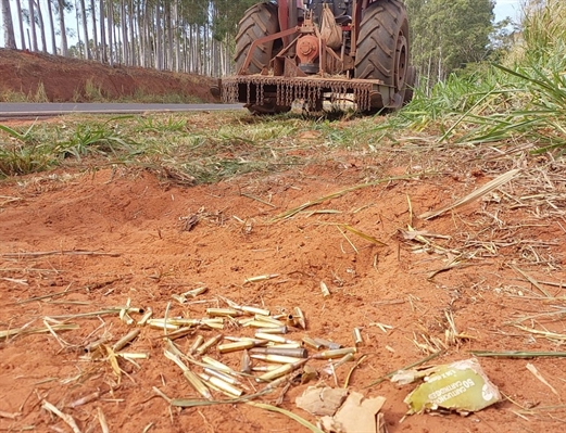 Funcionários da Prefeitura de Macaubal encontraram durante roçagem da marginal munições de fuzil (Foto: Divulgação)