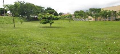 Vereadores votam doação de área ao lado da Câmara