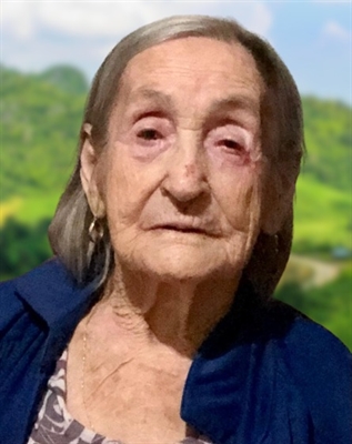 Anna Fioravante Gallo, 100 anos