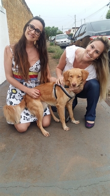 As irmãs Gabriella Lustre e Aryanna Lustre são as novas donas do cãozinho de apenas um ano de idade (Foto: Divulgação/Amor & Patas)