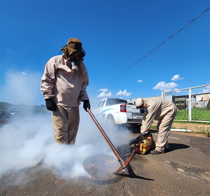 O objetivo do procedimento é fazer um controle eficaz contra a infestação de pragas e insetos, como baratas, escorpiões e ratos (Foto: Saev)