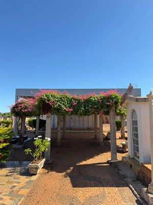 Prefeitura orienta famílias sobre o prazo para limpeza no Cemitério Municipal “Petronilo Gonçalves da Silva” e divulga horários das missas   Foto: Prefeitura de Votuporanga