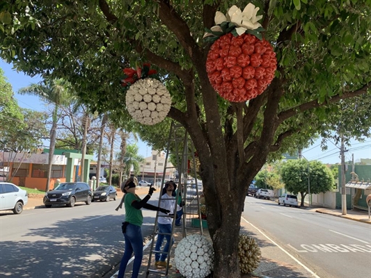 Enfeites de Natal começaram a ser instalados em Santa Fé do Sul (Foto: Prefeitura de Santa Fé do Sul)