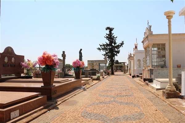 Floriculturas esperam 10% de aumento de vendas em relação ao ano passado   Foto: Prefeitura de Votuporanga