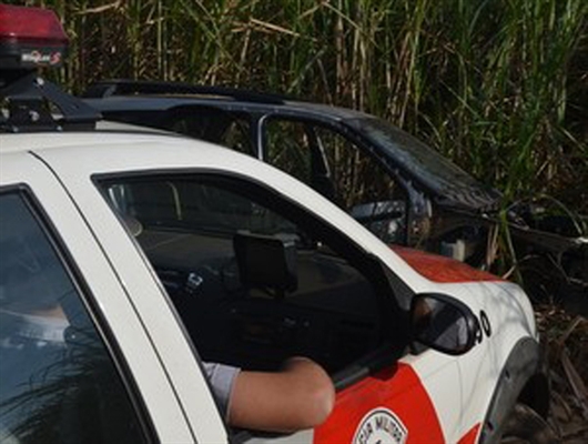 Irmãos são brutalmente assassinados em canavial 