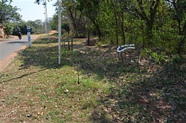 Saev Ambiental realiza fiscalização ambiental em Votuporanga