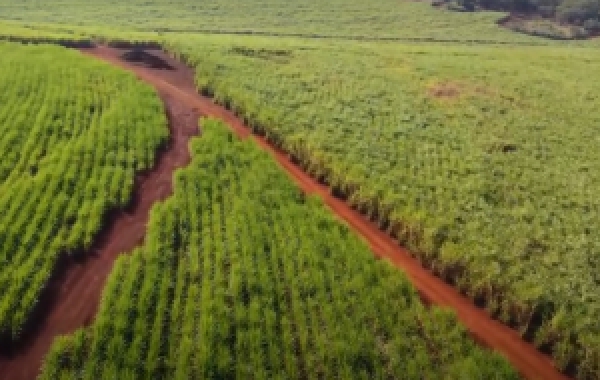 A iniciativa também “colocou no mapa” 3 mil quilômetros de estradas somente neste ano (Foto: Divulgação)