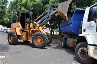 casos de queda de árvores ou situações relacionadas a ocorrências desta natureza, a população deve acionar o Corpo de Bombeiros pelo 193 (Foto: Divulgação/Prefeitura de Votuporanga)