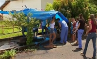 Resgate de égua abandonada em Rio Preto mobiliza moradores (Foto: Reprodução/TV TEM)