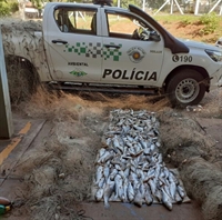 Divulgação Polícia Ambiental 