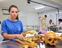 Há 20 anos, a Ejunifev é a responsável por realizar a intermediação entre a Unifev e as empresas cadastradas pelo setor, que buscam por estudantes das mais variadas áreas de conhecimento (Foto: Divulgação/Unifev)