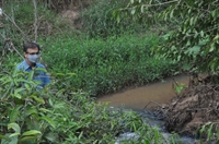  Em determinado ponto a água limpa do córrego se mistura com o esgoto; denúncia foi feita pelo vereador Jura (Foto: A Cidade)