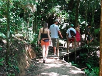 (Foto: Divulgação/Prefeitura de Votuporanga)