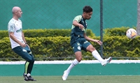 (Foto: Cesar Greco/Palmeiras/Direitos Reservados) 