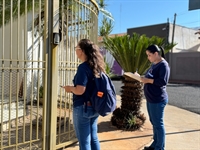 Prefeitura de Votuporanga realiza mutirão contra Dengue no São João neste sábado