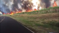  Um incêndio de grandes proporções atingiu uma área de plantação de cana-de-açúcar às margens da vicinal Carlos Gandolfi (Foto: Arquivo Pessoal ) 