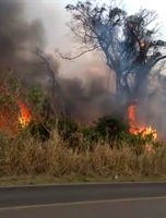 O combate ao incêndio durou aproximadamente por 40 minutos (Foto: reprodução)