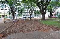 (Foto: Divulgação/Prefeitura de Votuporanga)