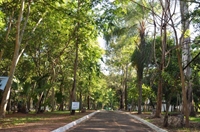 Saev Ambiental encerra HOJE os trabalhos da Semana do Meio Ambiente, com distribuição de mudas, na Concha Acústica  (Foto: Divulgação)