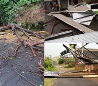 Temporal derruba árvores, destelha prédios e derruba até o alambrado da Arena Plínio Marin