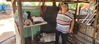 Oitenta e quatro... E contando... Dona Ilda é novamente picada por escorpião em Votuporanga