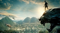 Acompanhando o lançamento mundial, o Cine Votuporanga estreia hoje “Pantera Negra” com duas sessões dubladas (Foto: Divulgação)