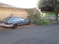 Veículo só parou após bater em uma árvore na calçada (Foto: Julia Rigazzo/TV TEM)
