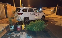 Plantação de maconha foi encontrada no bairro Floresta Park em Rio Preto (SP) — Foto: Arquivo Pessoal