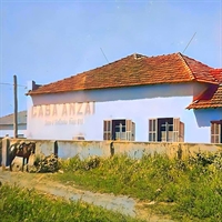  As fotografias coloridas apresentam a história da empresa de forma mais viva e atrativa (Foto: Divulgação/Casa Anzai)