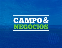 Artigo 'Tomateiro: como os porta-enxertos podem otimizar o cultivo' contou com a participação dos estudantes Fátima Gouvêa Prudêncio e João Victor Dam de Abreu (Imagem: Divulgação)