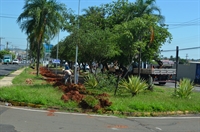 As obras na avenida do Pozzobon avançam, mas secretária de Planejamento, Tássia Coleta, pede paciência à população pelas etapas (Foto: A Cidade/Prefeitura)