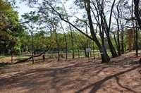 O Plano também foi analisado pelo  Conselho Municipal do Meio Ambiente  e Saneamento (Foto: Divulgação/Prefeitura de Votuporanga)