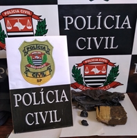 Os policiais da Delegacia Especializada de Votuporanga apreenderam um tijolo de maconha de cerca de 310 gramas (Foto: Dise)