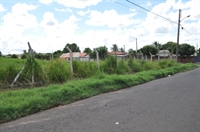 Calçadas do complexo esportivo estão intransitáveis por causa do mato alto no terreno