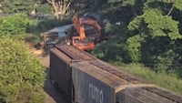 Cinco vagões de um trem da concessionária Rumo tombaram em uma área industrial de Catanduva (Foto:Divulgação)