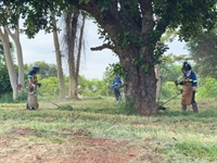 Mais de 11 mil terrenos vazios são notificados para serem limpos em Votuporanga